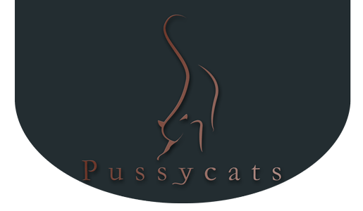 Aguarde – Pussycats – Acompanhantes do Brasil